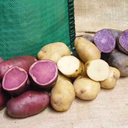 uploads/images/_wp Content_uploads_2020_08_grow Bags and Potatoes Small E1638470896512
