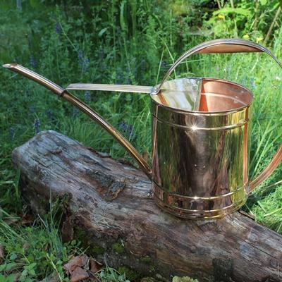 uploads/images/_wp Content_uploads_2021_01_dorado On Log