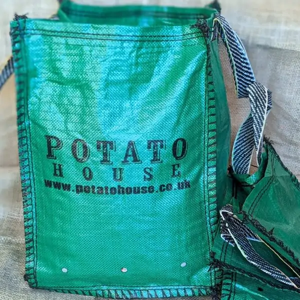 uploads/images/_wp Content_uploads_2022_02_pxl_20220225_083757727.portrait 600x600