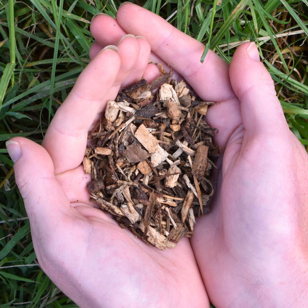 uploads/images/_wp Content_uploads_2022_04_3 Decorative Mulch