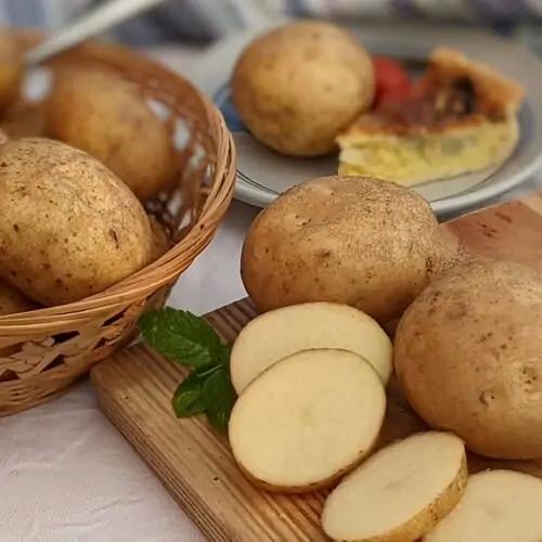 uploads/images/_wp Content_uploads_2022_10_bambino To Eat 6