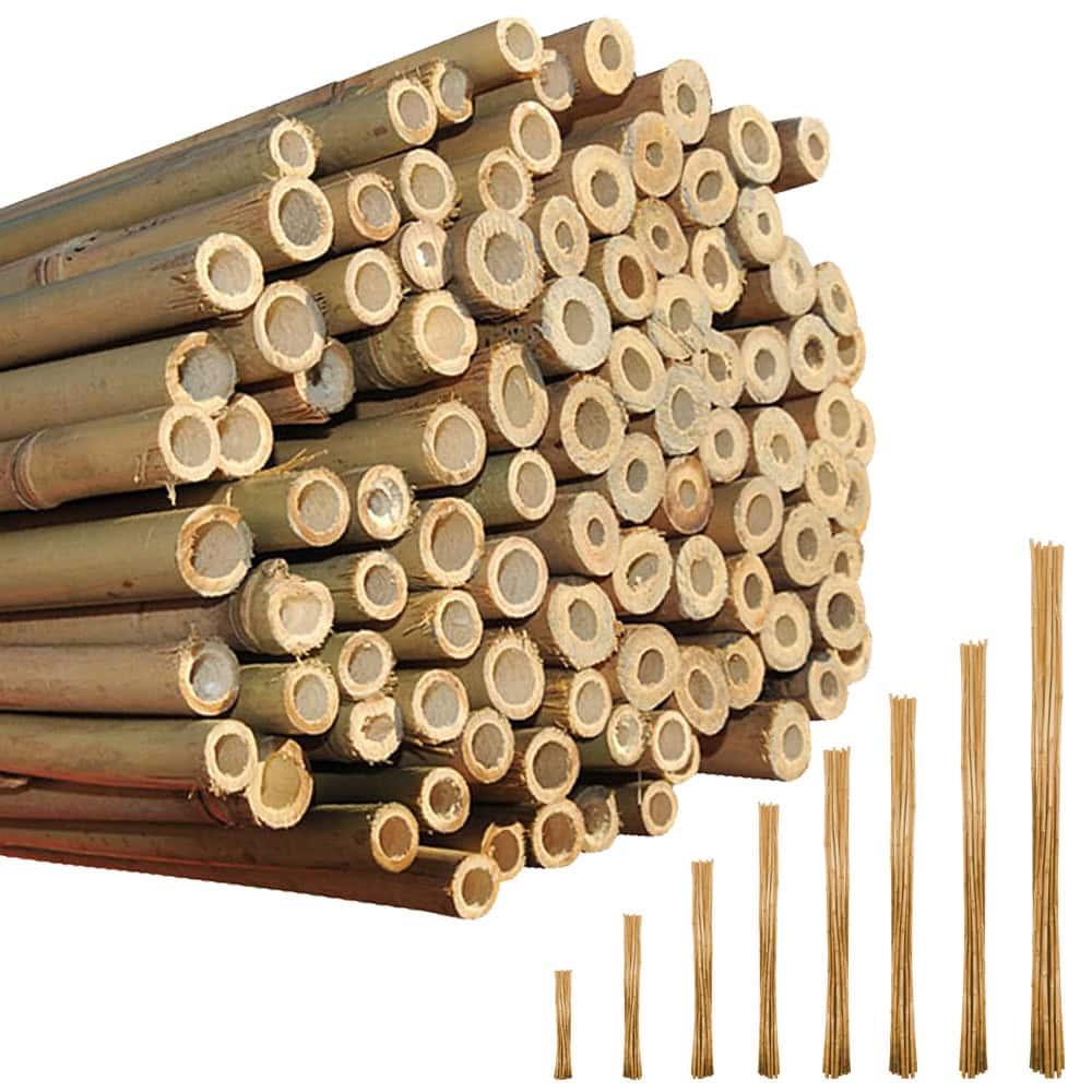 uploads/images/_wp Content_uploads_2024_07_bamboo Main Web