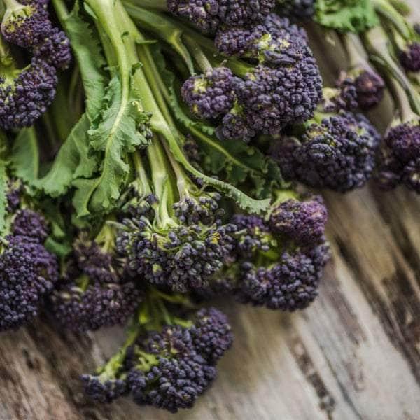 uploads/images/Acquagarden Plants Vegetable Full Plants Multi Pack 4 Mixed Varieties 48 X Full Plants 38658345959579