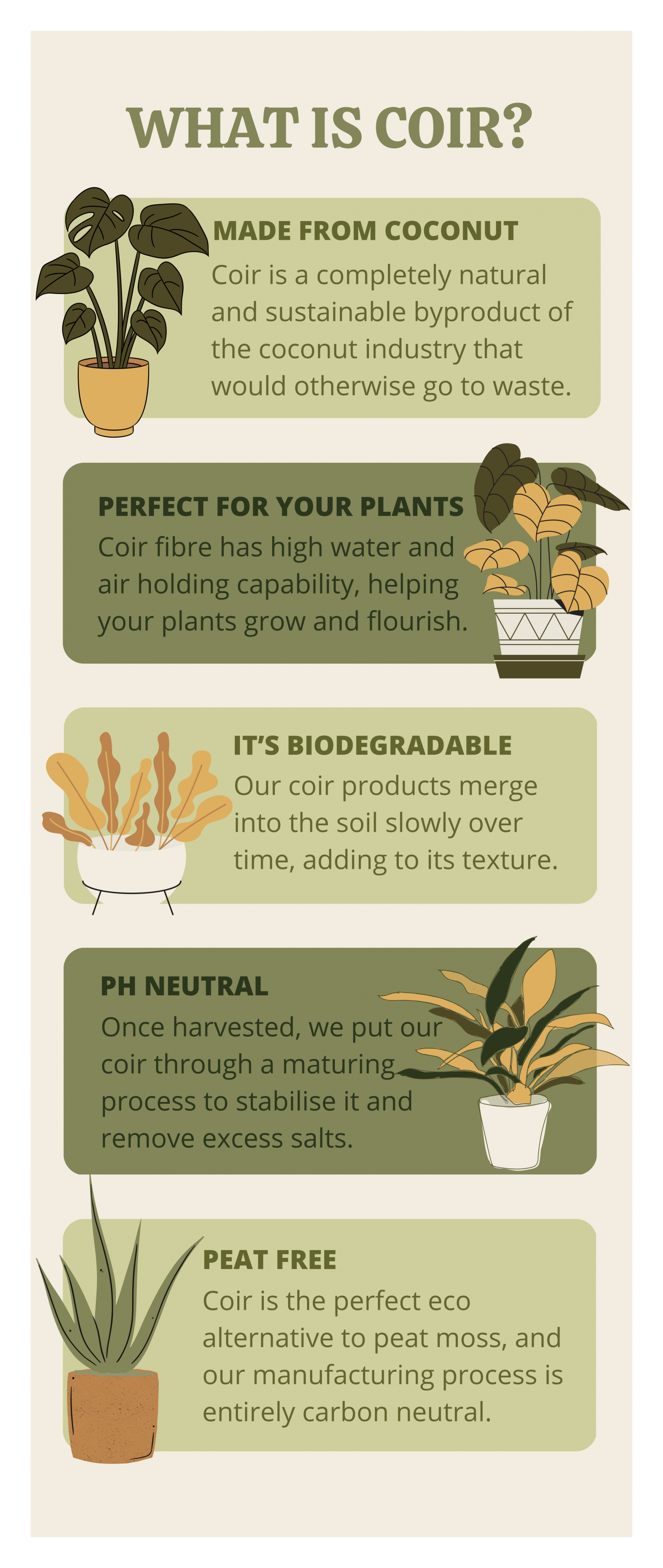 uploads/images/Aeb98120 2a29 4e75 A8bc 9f6e592c1c05