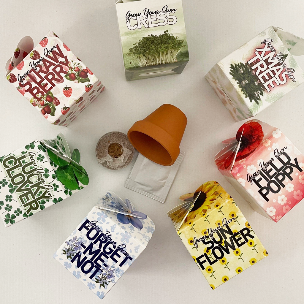 uploads/images/All Boxes Round