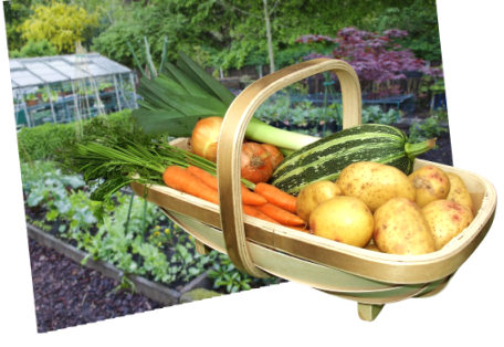 uploads/images/Allotment F1f73709ff6c9af1f2d9899904feb1cb