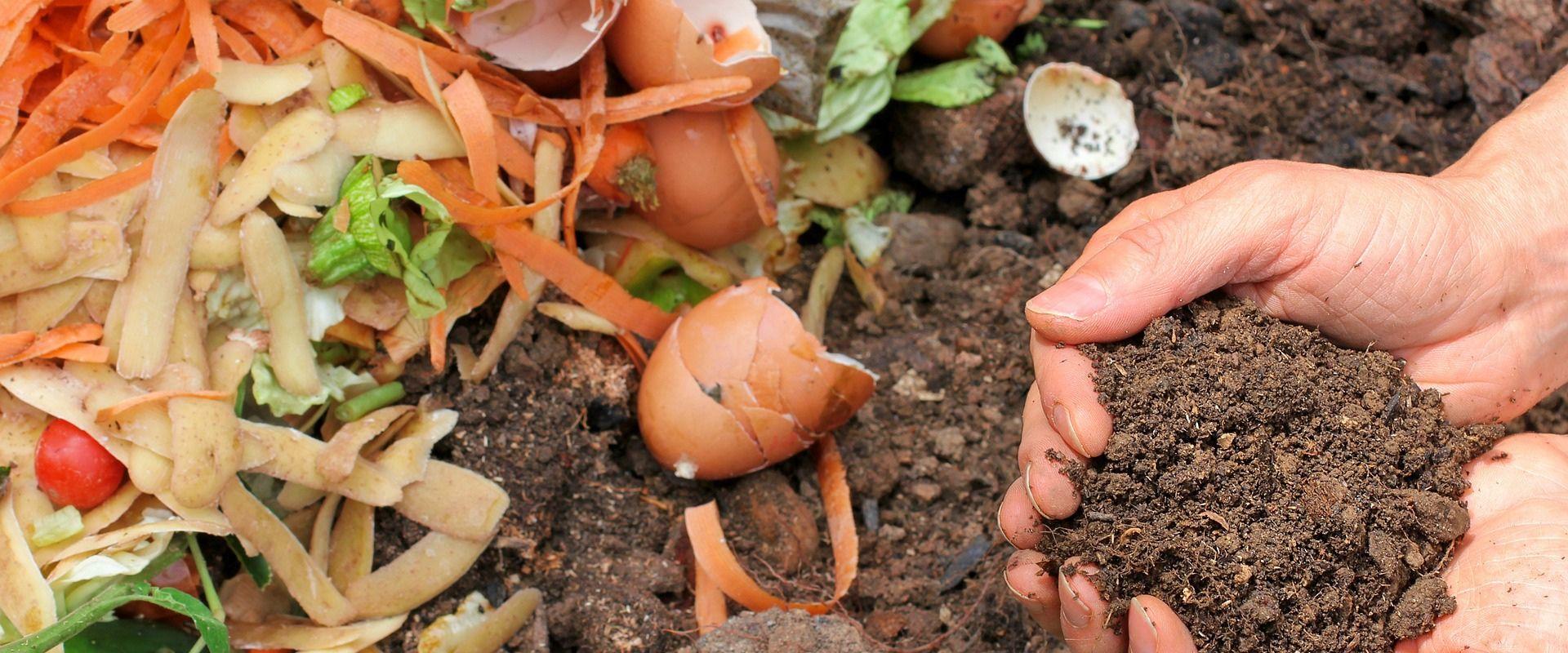 uploads/images/Hotbin header image