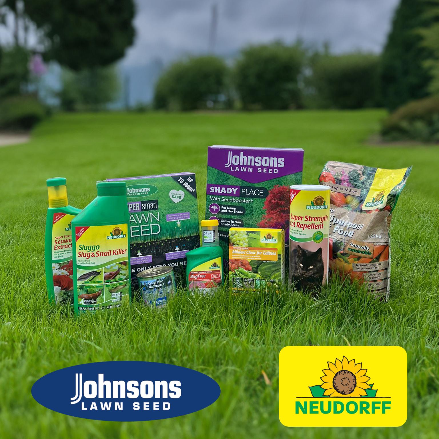 uploads/images/Allotmentonline_competition24