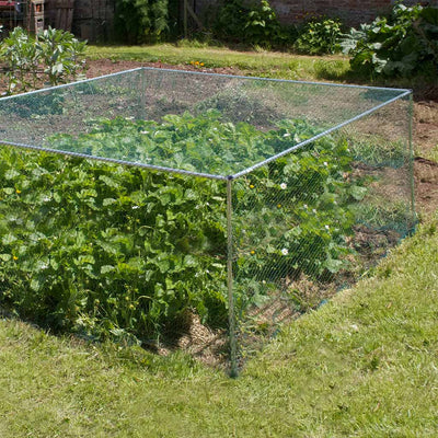 uploads/images/Aluminium Low Fruit Cage2_opt_400x