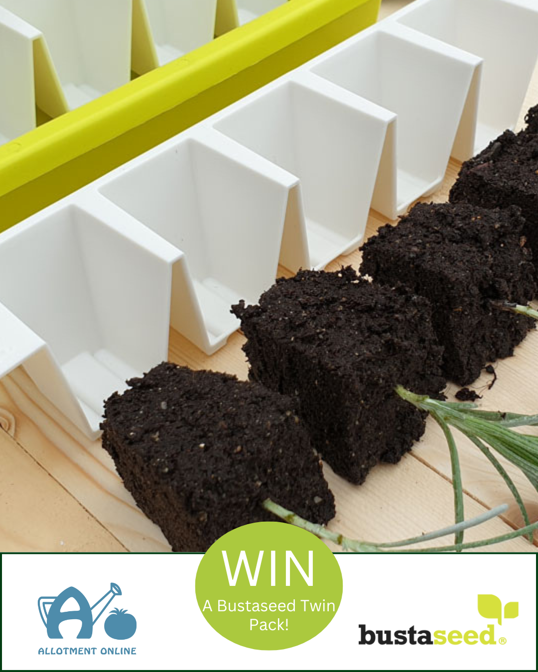 uploads/images/Ao I Cedar Nursery 1