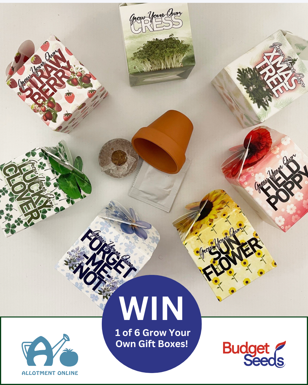 uploads/images/Ao I Cedar Nursery 15