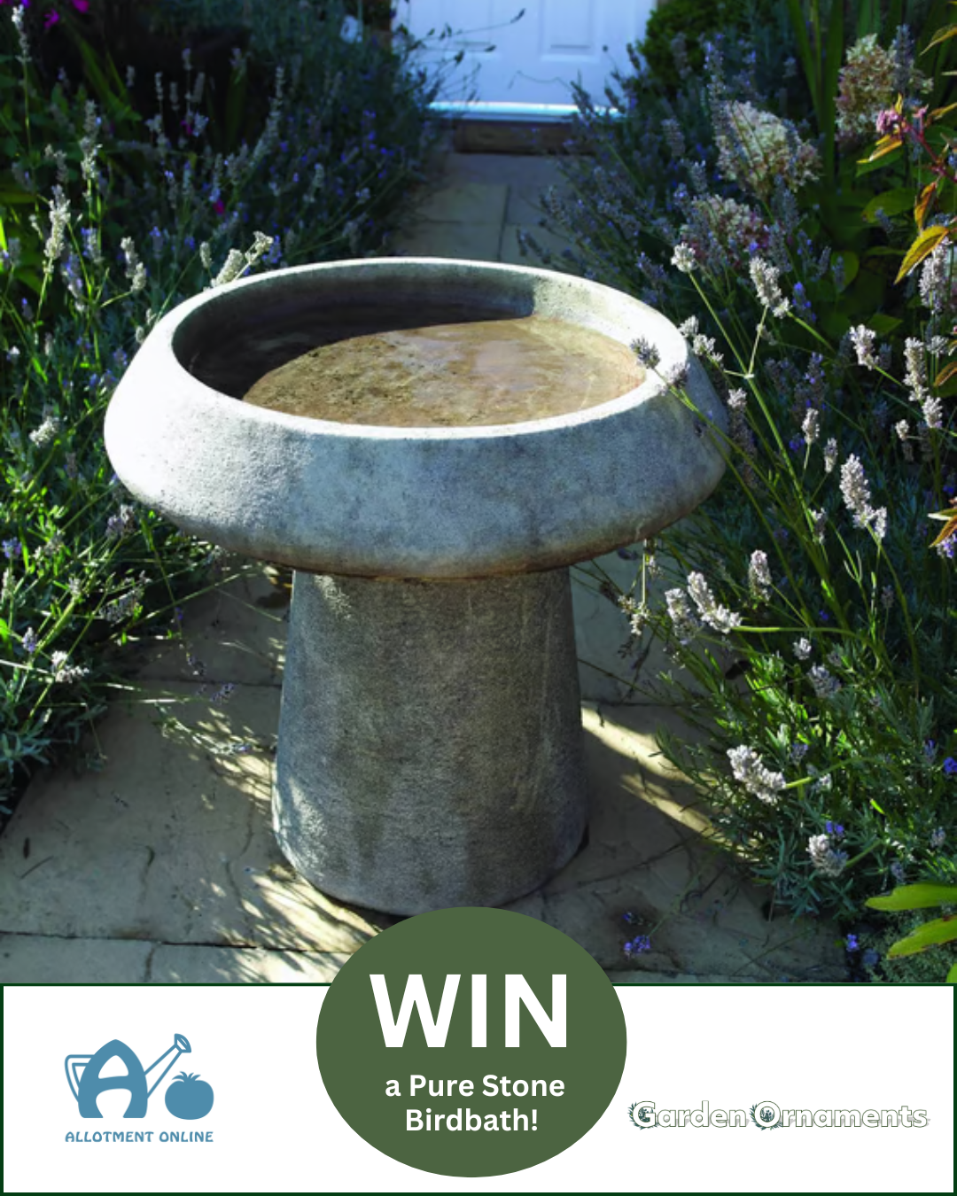 uploads/images/Ao I Cedar Nursery 16