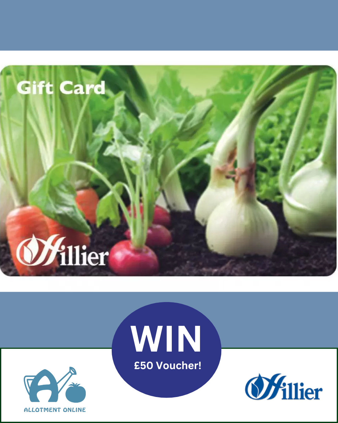 uploads/images/Ao I Cedar Nursery 19