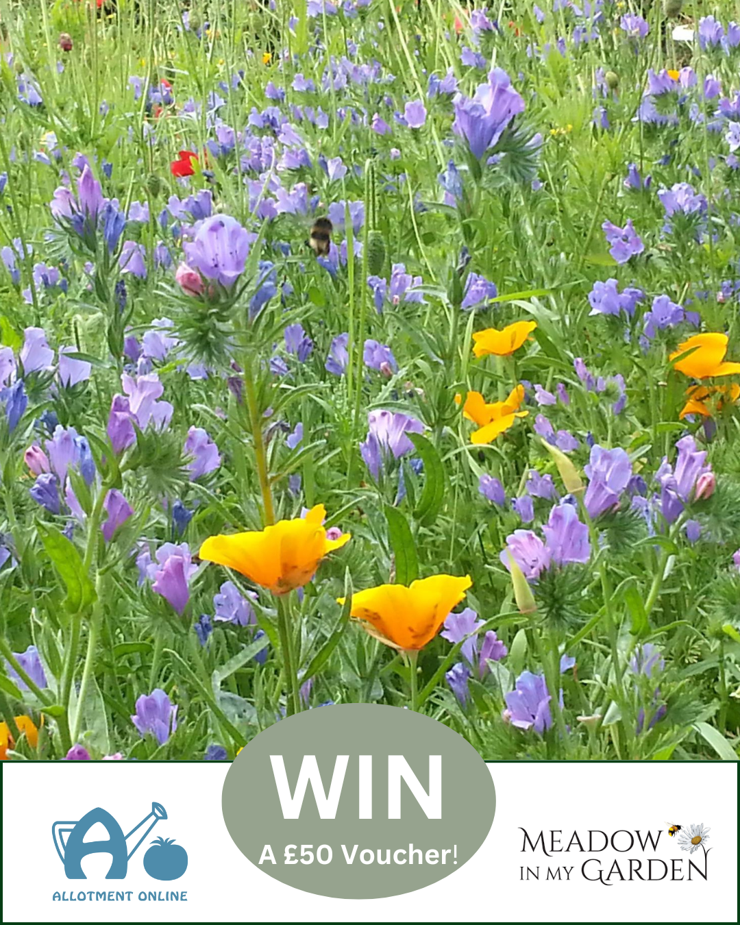 uploads/images/Ao I Cedar Nursery 9