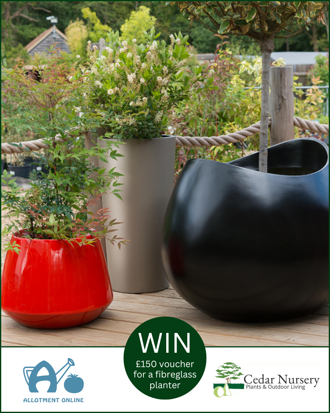 uploads/images/Ao I Cedar Nursery