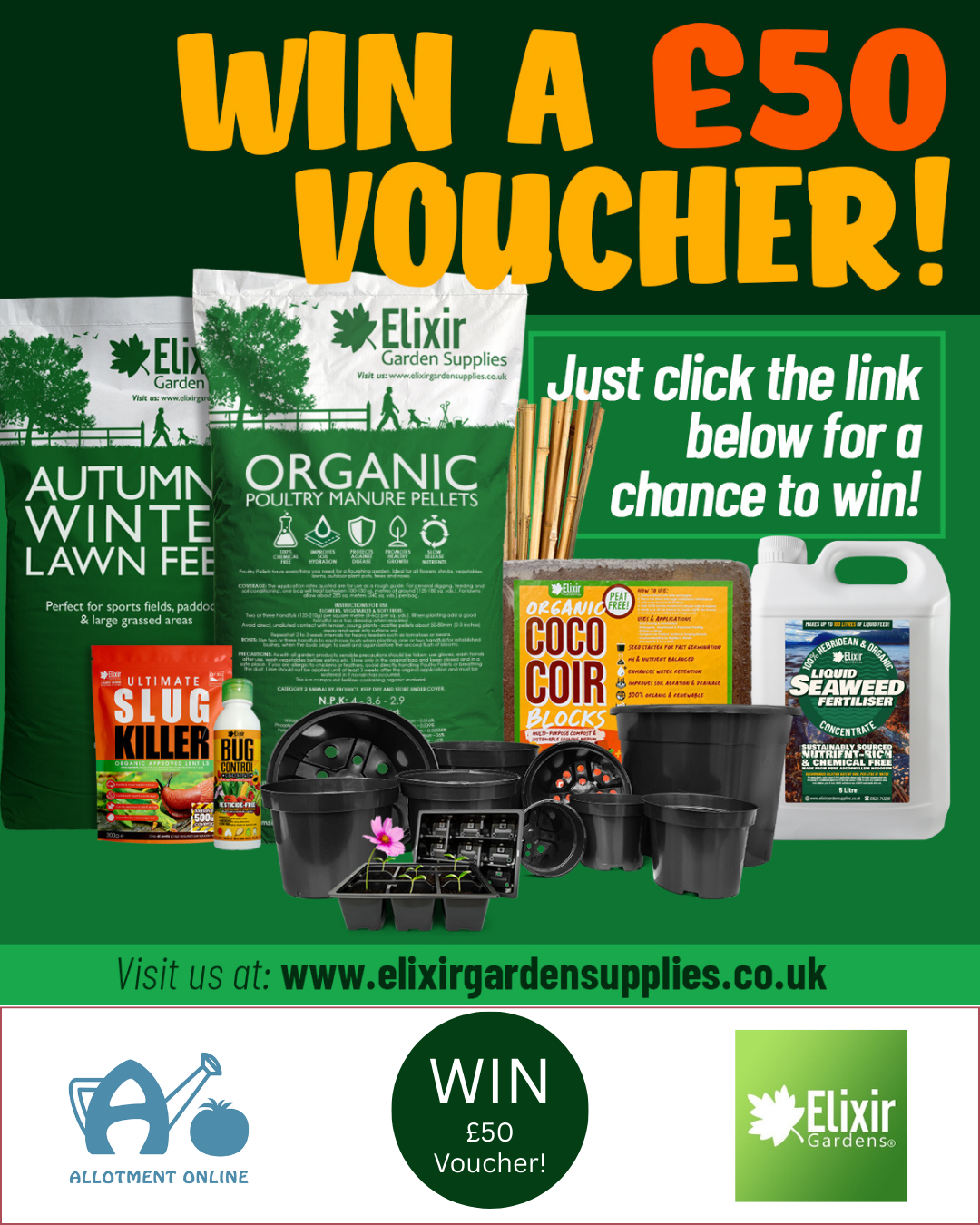 uploads/images/Ao I Gee Tee Bulb Company Competition 1