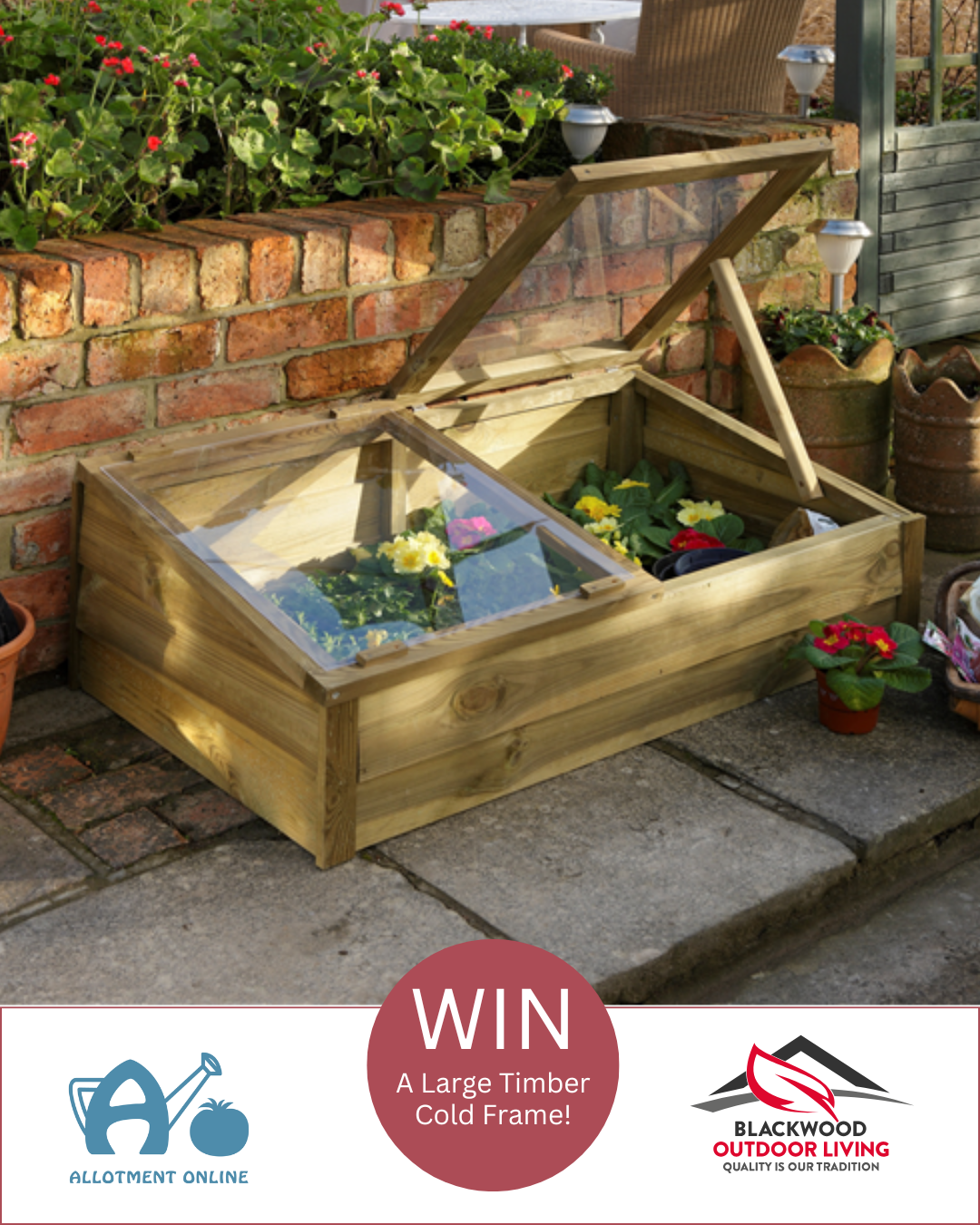 uploads/images/Ao I Gee Tee Bulb Company Competition