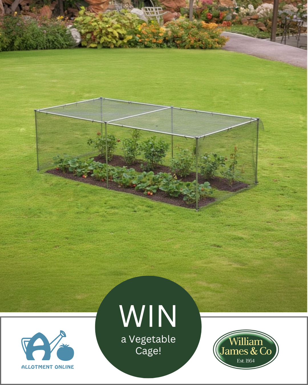 uploads/images/Ao I Greenhouse Sensation 11