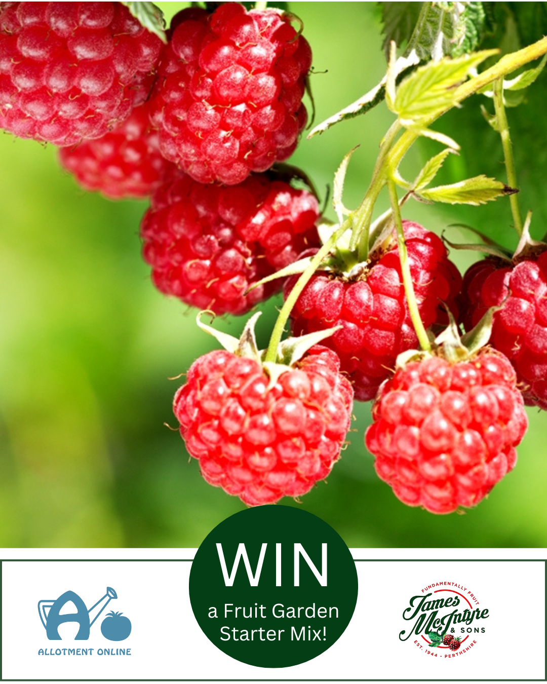 uploads/images/Ao I Greenhouse Sensation 15