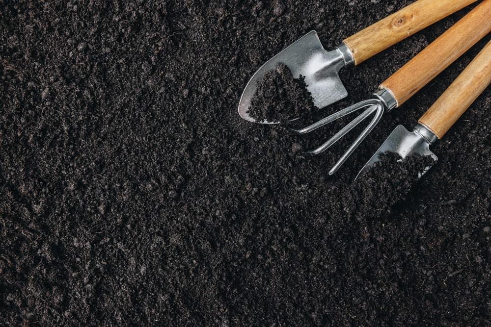 uploads/images/Ao Soil Photo Min