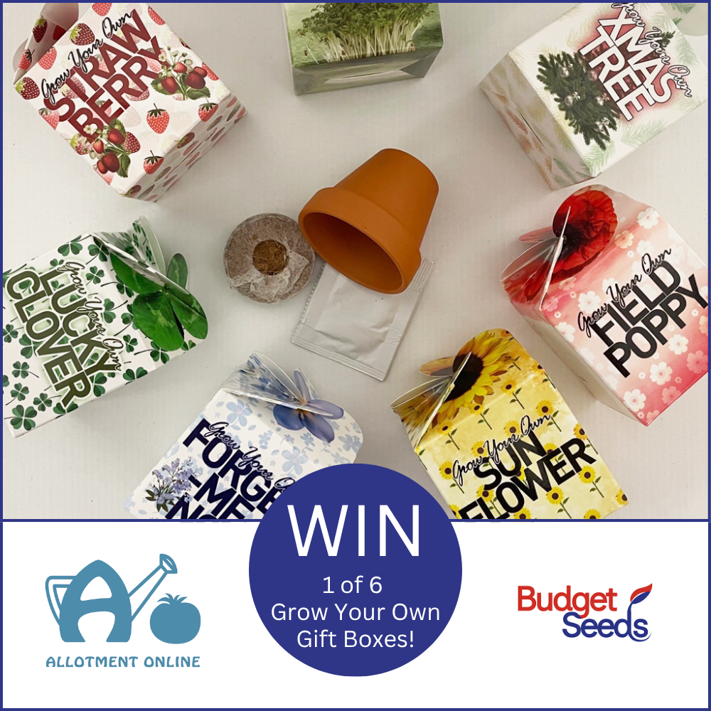 uploads/images/Ao Website Budget Seeds