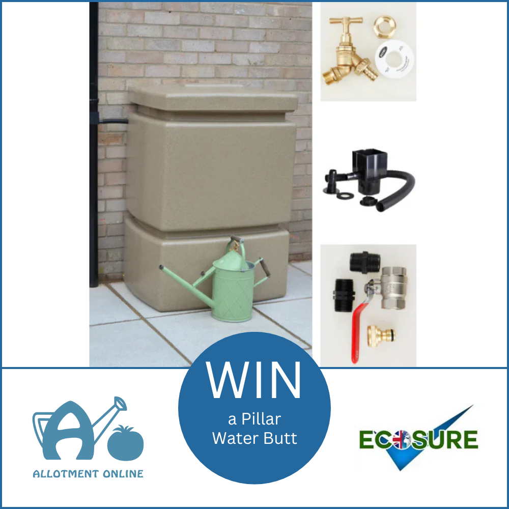 uploads/images/Ao Website Ecosure