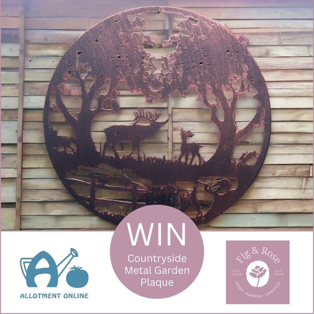 uploads/images/AO Website Fig & Rose Competition