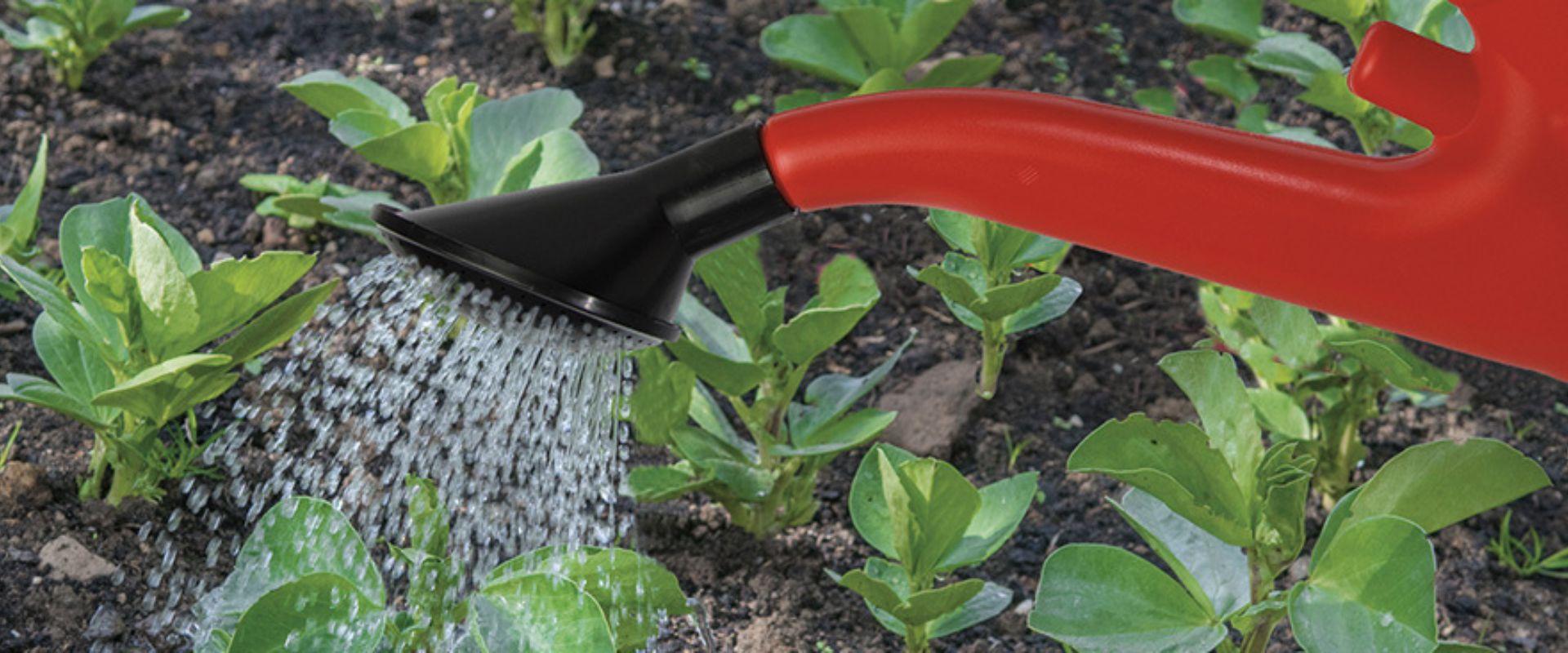 uploads/images/Ao Website Garland Products