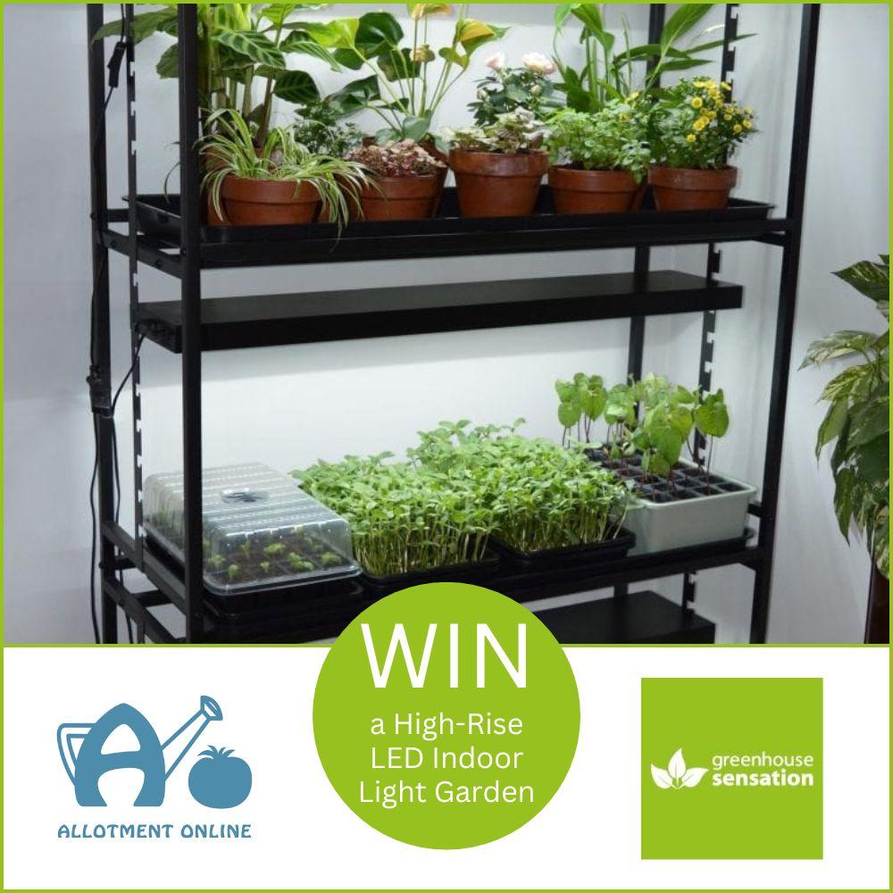 uploads/images/Ao Website Greenhouse Sensation