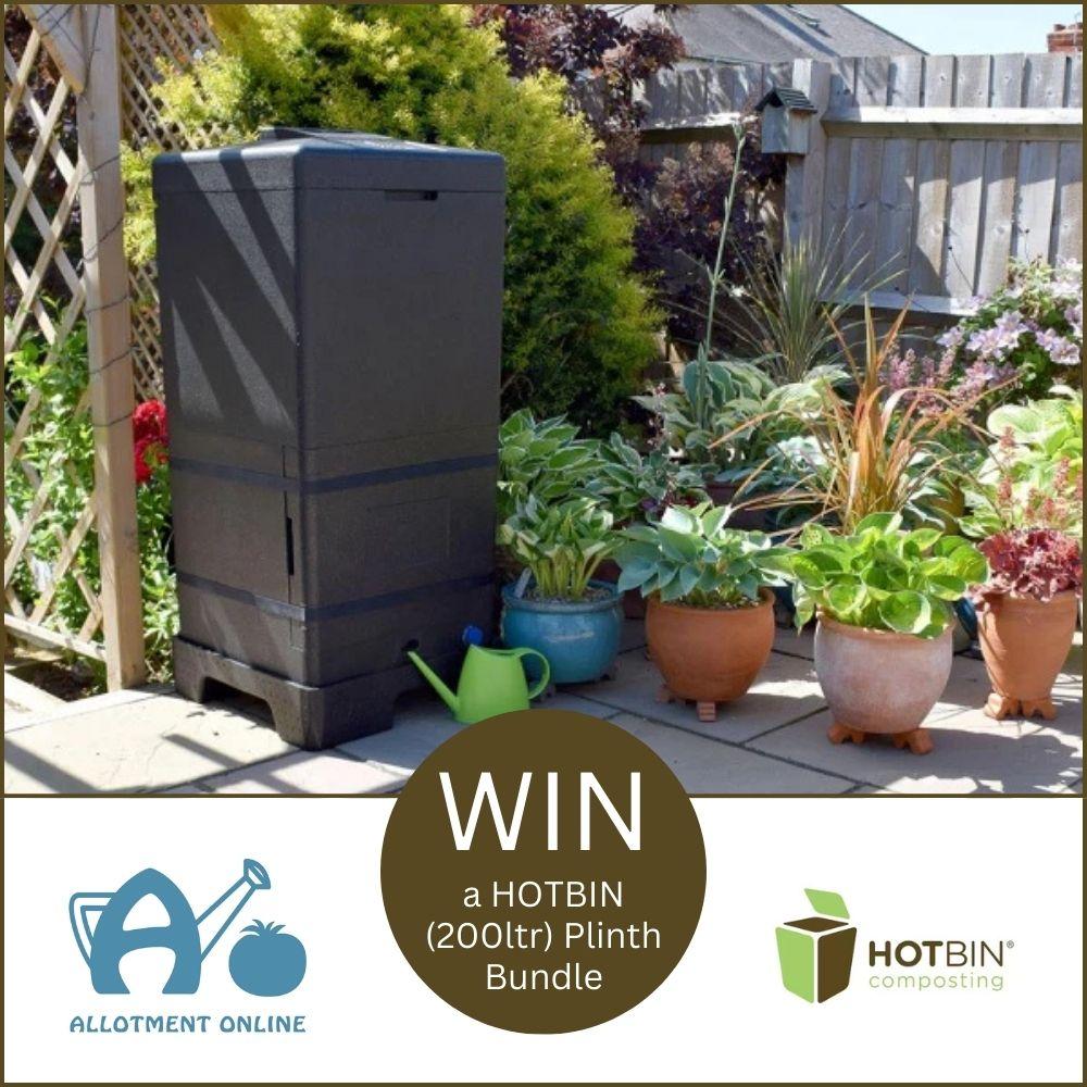 uploads/images/Ao Website Hotbin 1