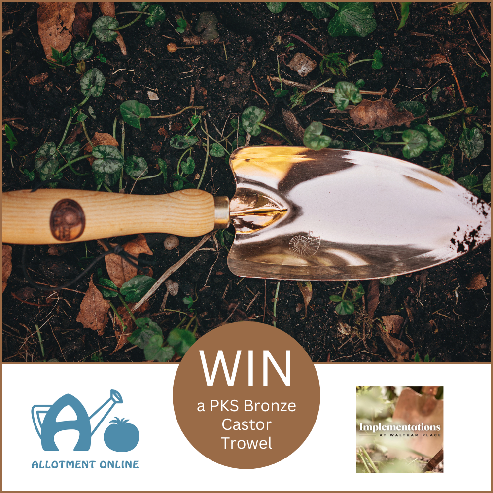 uploads/images/Ao Website Implementations