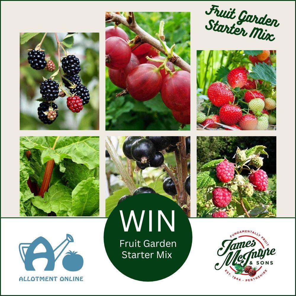 uploads/images/Ao Website James Mcintyre