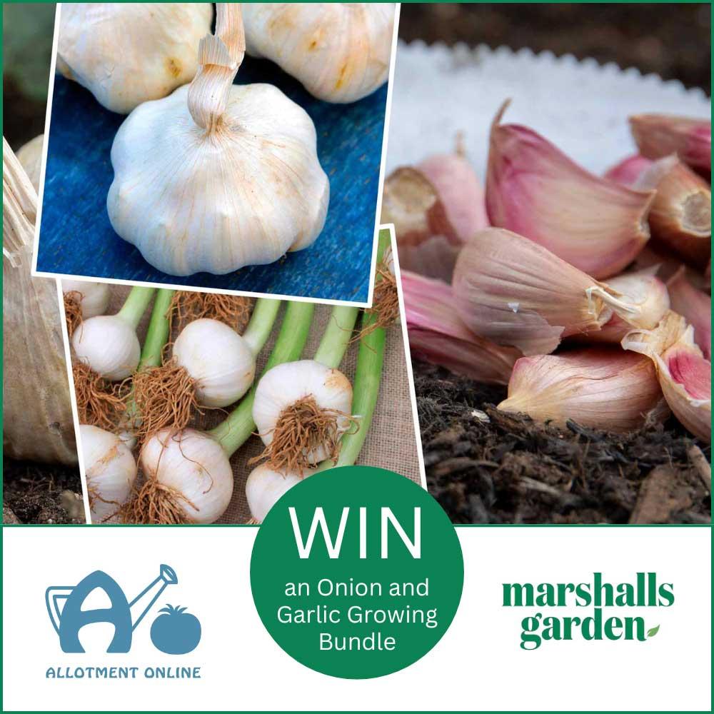 uploads/images/Ao Website Marshalls Garden