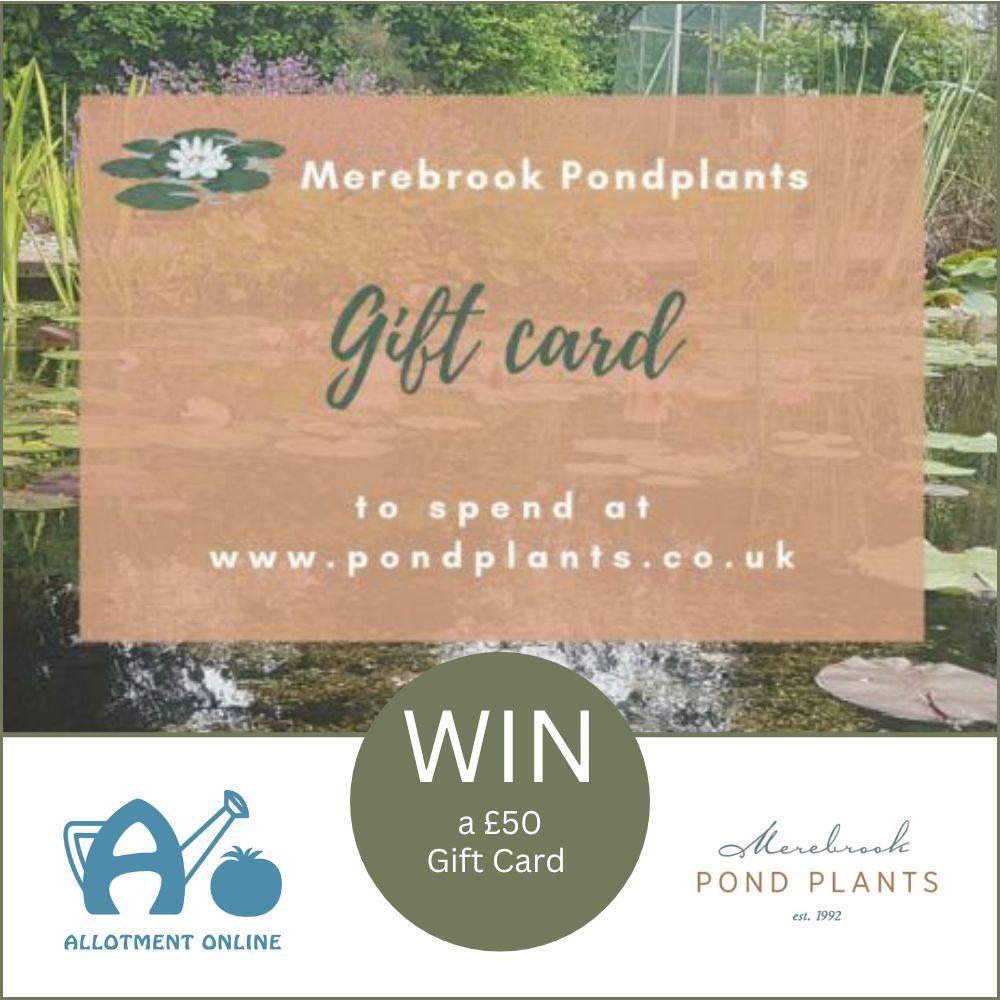 uploads/images/Ao Website Merebrook Pond Plants