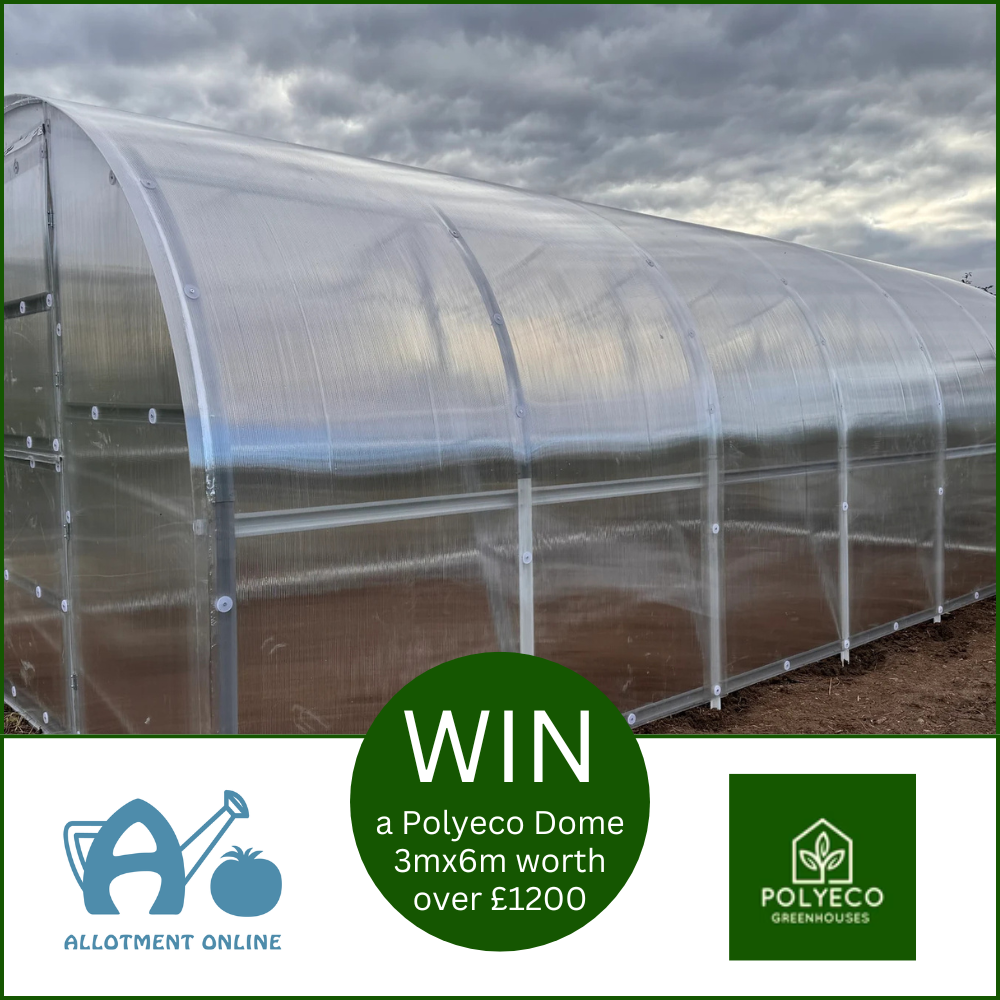 uploads/images/Ao Website Polyeco