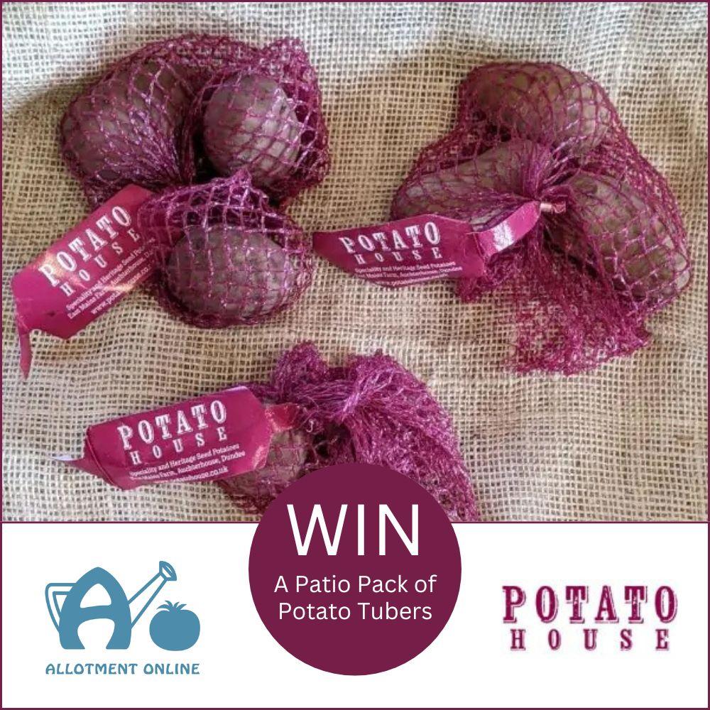 uploads/images/AO Website Potato House