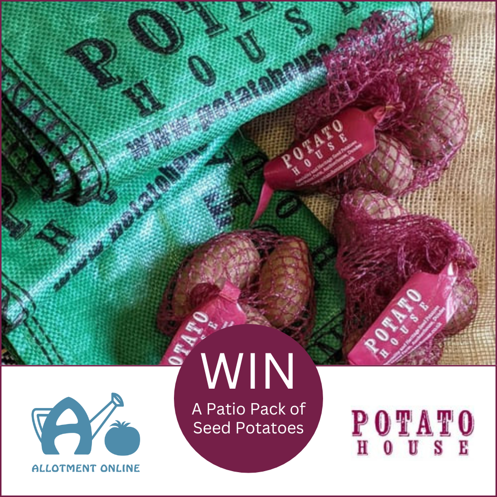 uploads/images/AO Potato House Competition