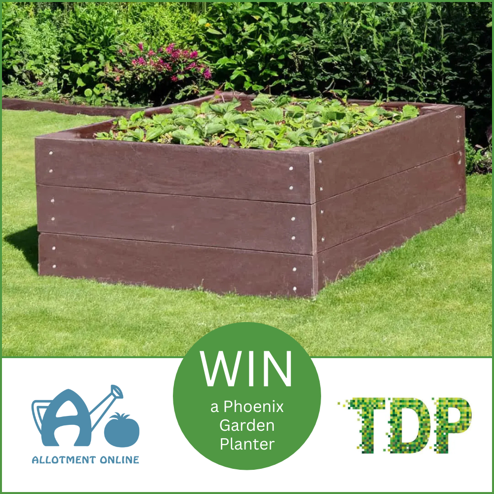 uploads/images/Ao Website Tdp