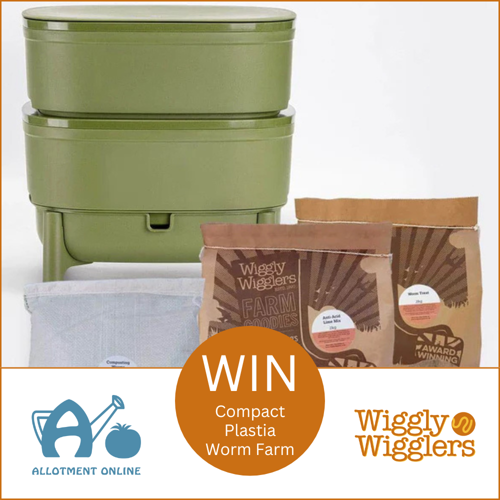 uploads/images/AO Website Wiggly Wigglers Competition