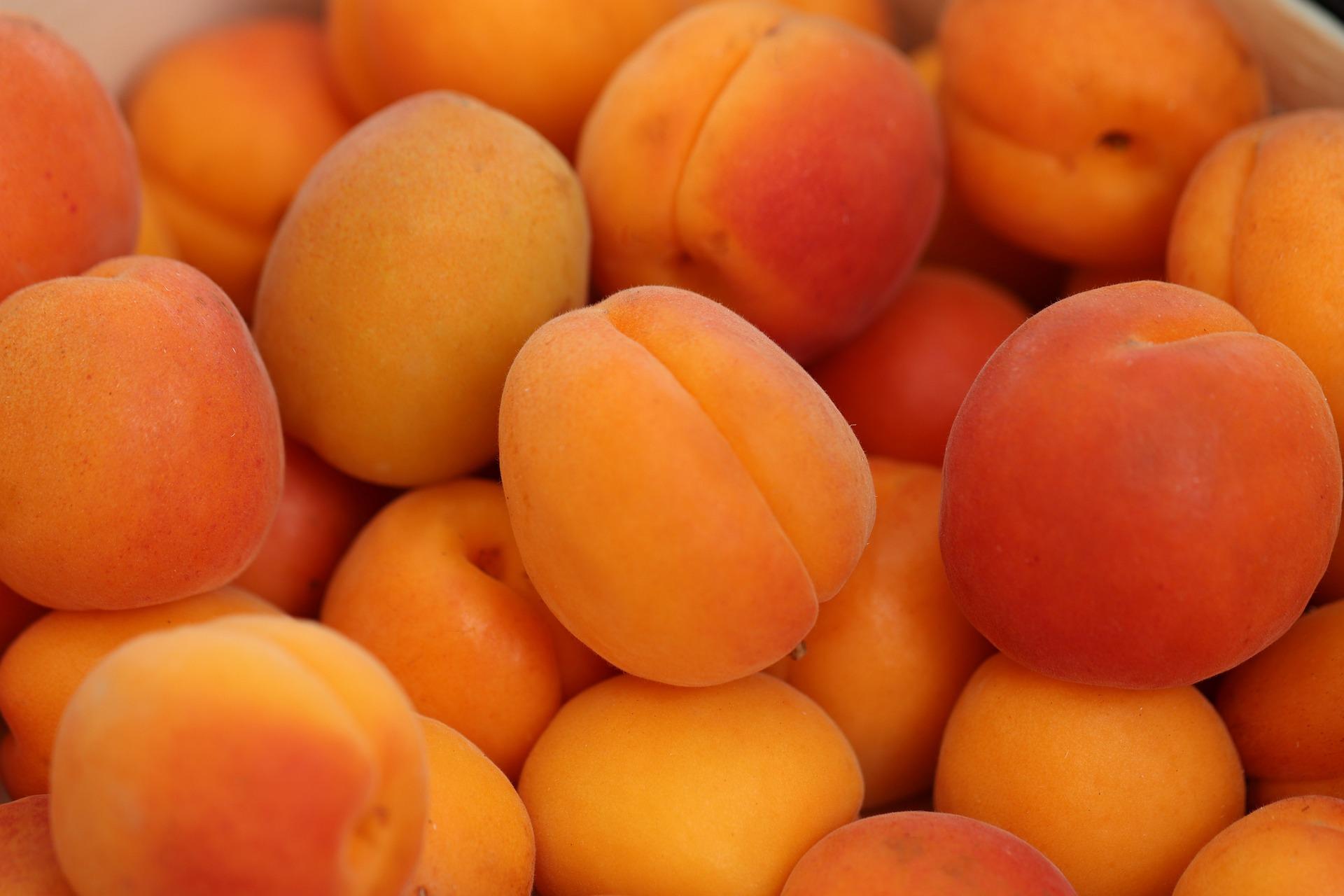 uploads/images/Apricots 4210720_1920