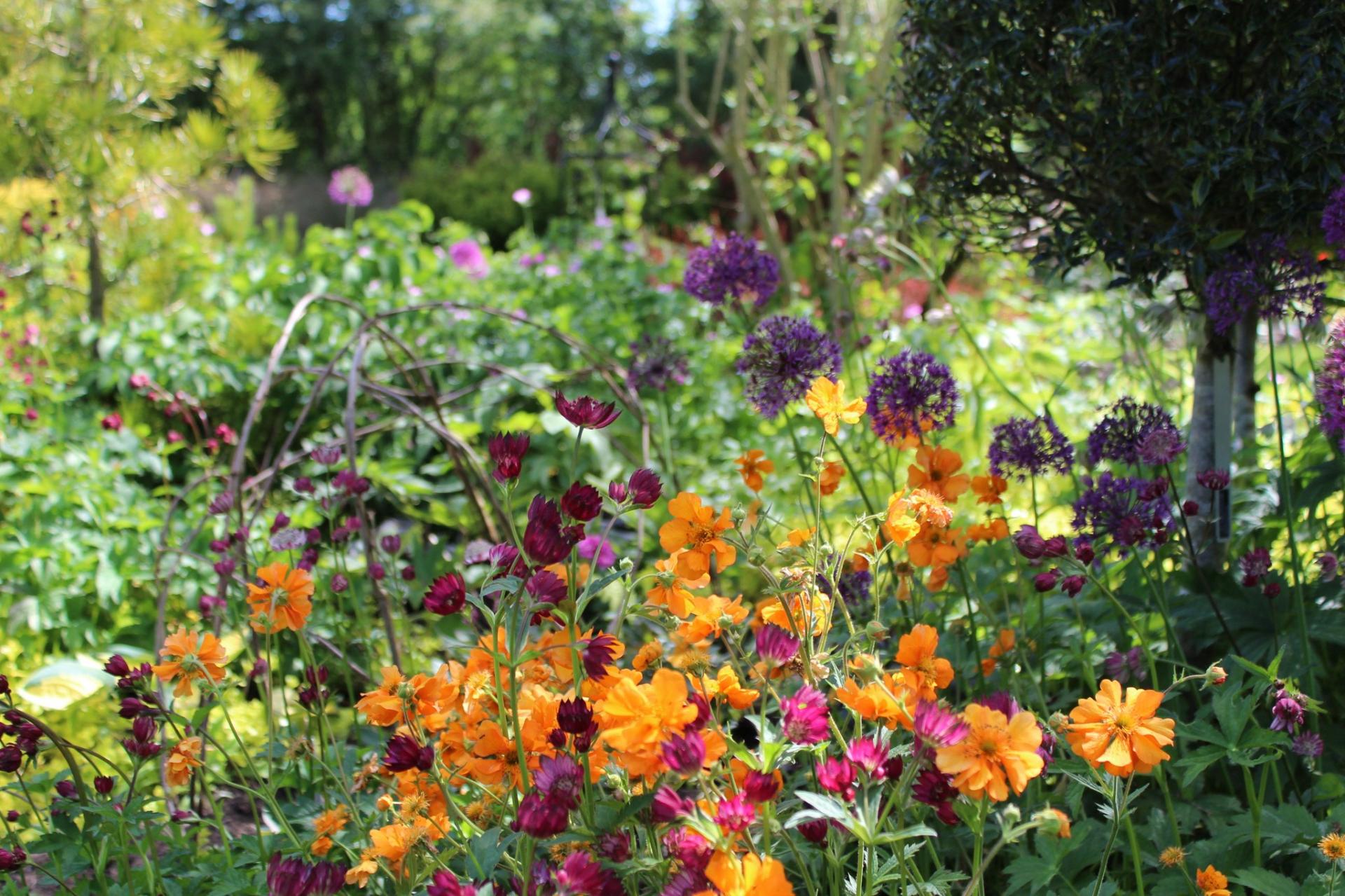 uploads/images/Ashwood 2