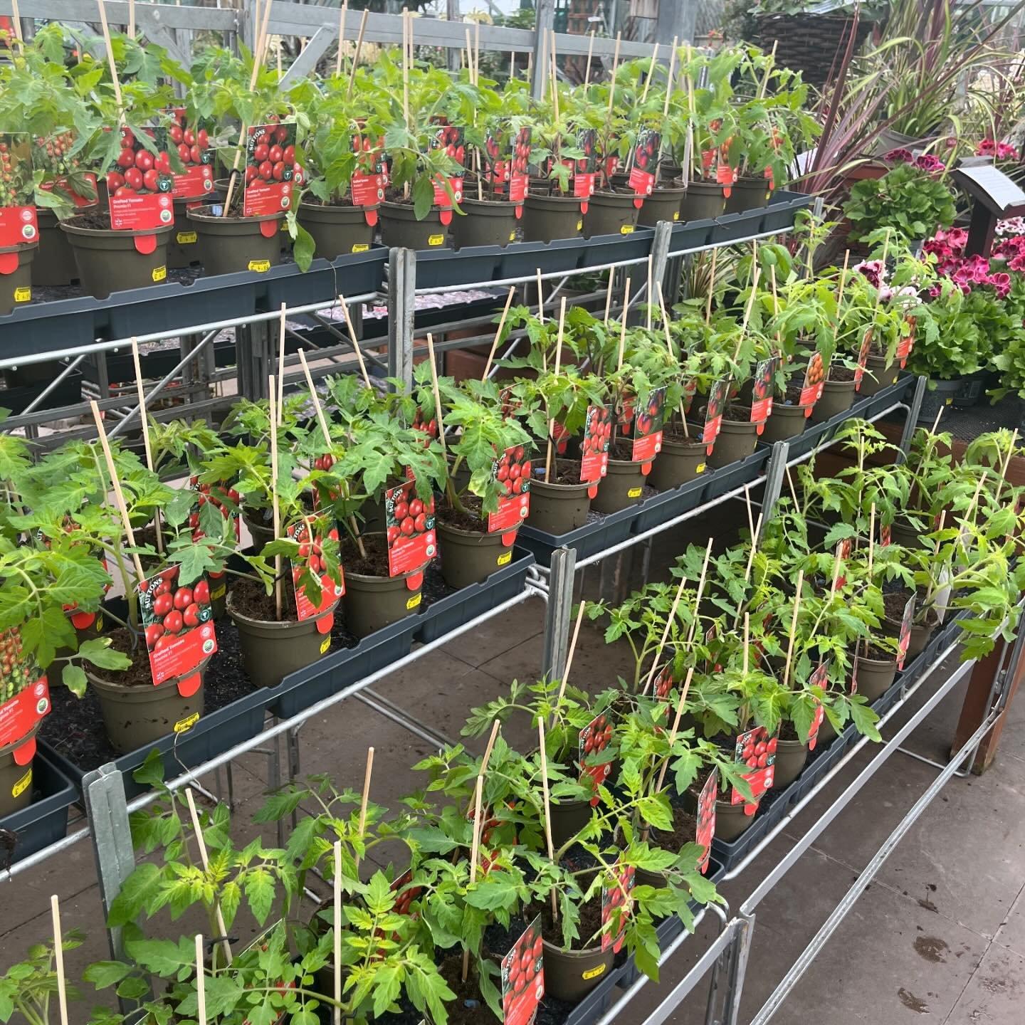 uploads/images/Ashwood 3