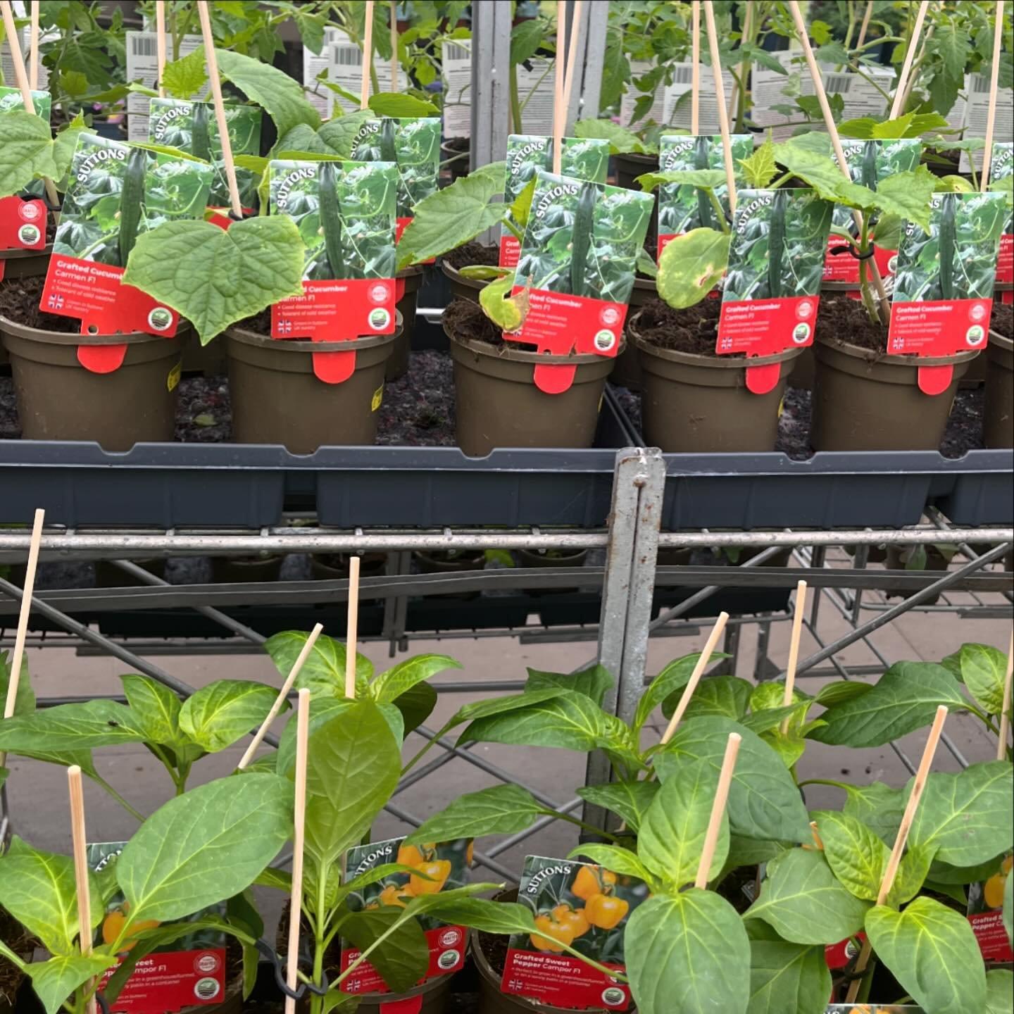 uploads/images/Ashwood 4