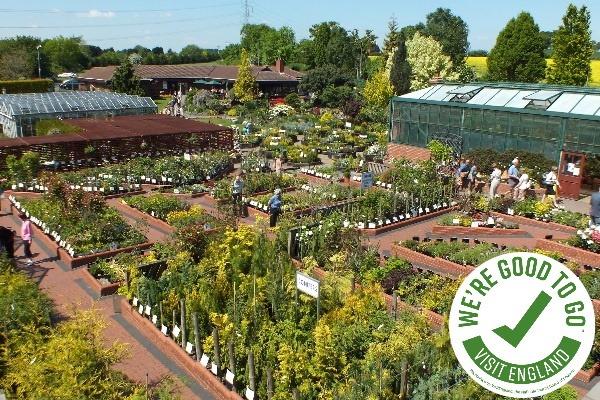 uploads/images/Ashwood