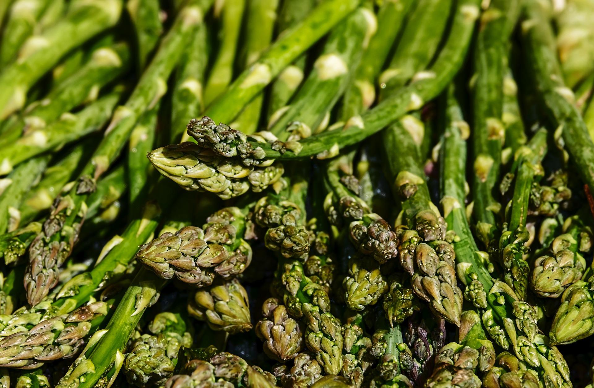 uploads/images/Asparagus 3440348_1920