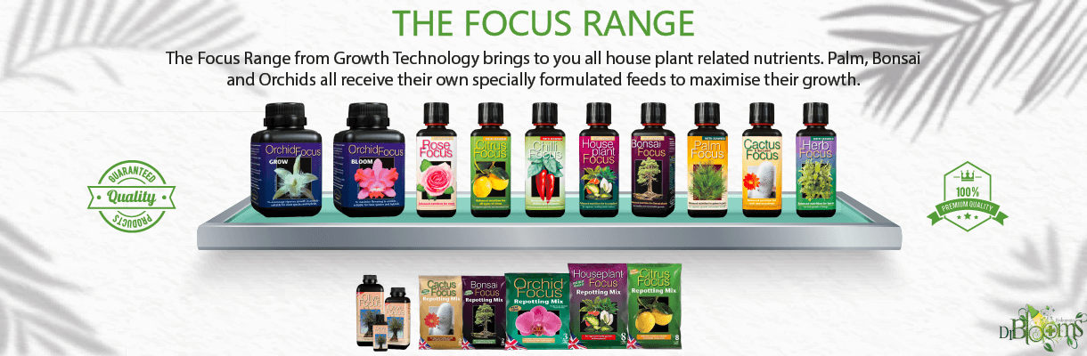 uploads/images/Banner 3 1