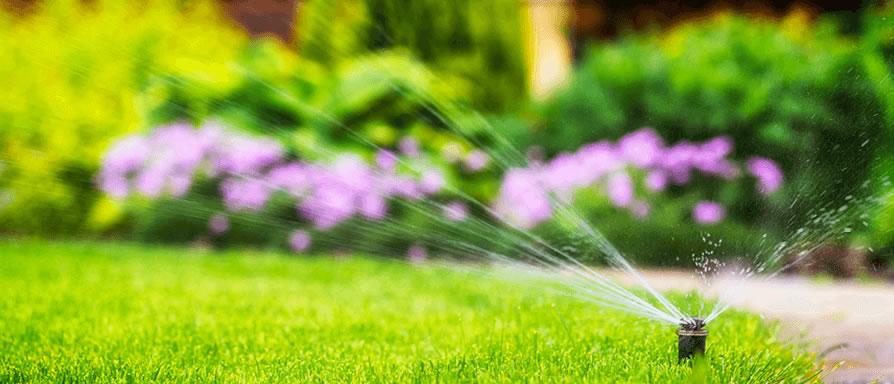 uploads/images/Banner 7 Feature Small