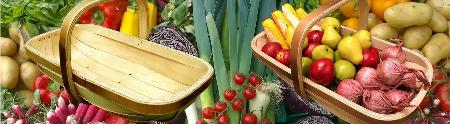 uploads/images/Banner Jan Sml