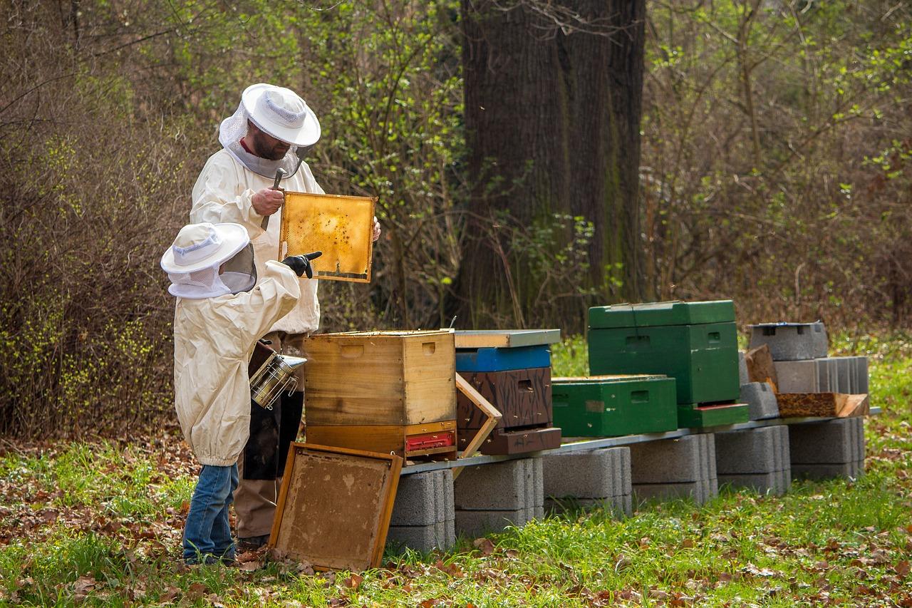 uploads/images/Beekeeper 4426003_1280