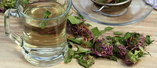 uploads/images/Ber1_med_ss2243230303_520x500_90e1fe98 093c 41ec B7ce 1ccca9edc02b